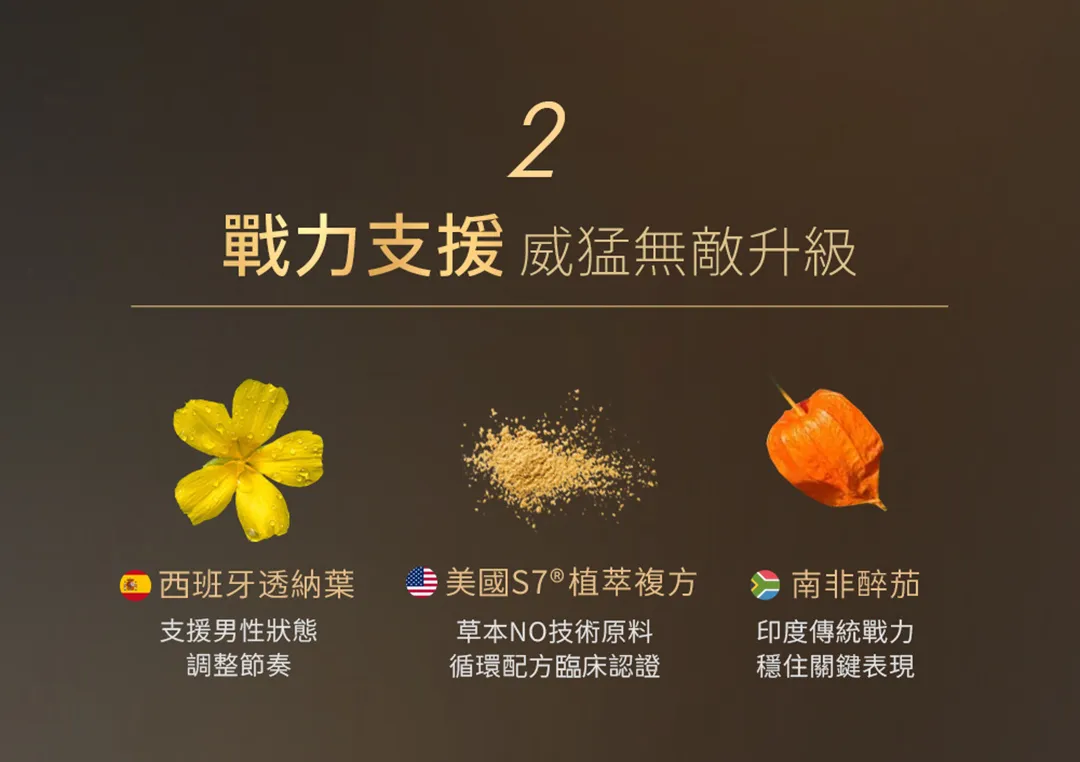 威猛錠2代-09.jpg